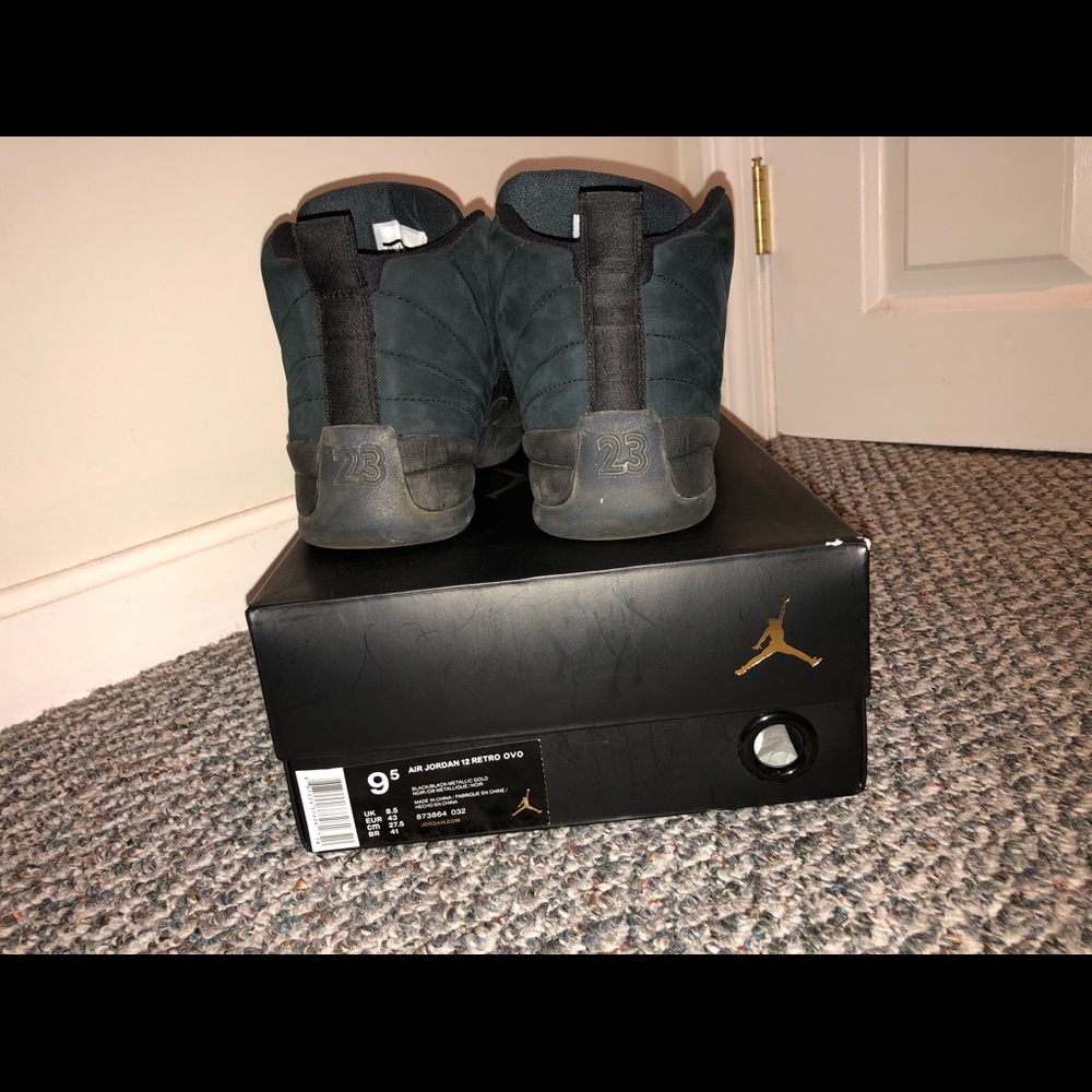 Air Jordan 12 retro ovo